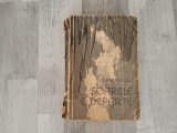 Soarele e departe de Dobrita Ciosci