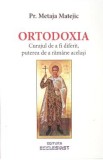 Ortodoxia. Curajul de a fi diferit, puterea de ramane acelasi - Metaja Metejic