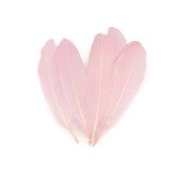 Cumpara ieftin Set 20 pene decorative gasca Kyrra, lungime 15 -21 cm, Roz pudrat