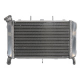 RADIATOR YAMAHA FZ6 600 2007 2009