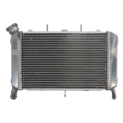 RADIATOR YAMAHA FZ6 600 2007 2009 foto