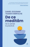 De ce medităm - Paperback brosat - Daniel Goleman, Tsoknyi Rinpoche - Curtea Veche