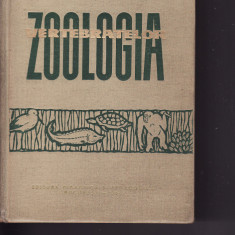 Feider,Grossu, Gyurko, Pop-Zoologia vertebratelor-1964