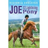 Joe And The Lightning Pony A Boy And His Horses