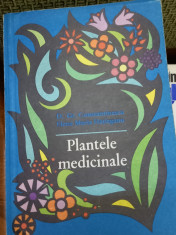 PLANTE MEDICINALE CONSTANTINESCU,HATEGANU foto