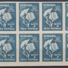 1947 FUNDATIA REGELUI MIHAI SCUTIT TAXA POSTALA H.ALBA SUPRATIPAR ROSU BLOC MNH