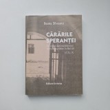 Ileana Silveanu, Cararile Sperantei. Destine ale rezistentei anticomuniste din Banat, vol 10, Timisoara, Ed. Invierea