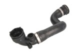 Furtun radiator BMW X5 (E53) (2000 - 2006) THERMOTEC DWB011TT