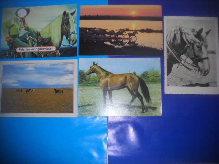 HOPCT LOT NR 412 CAI -FAUNA -5 CARTI POSTALE-NECIRCULATE