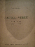 CAIETUL VERDE VERSURI -ION PILLAT 1928-1932