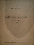 CAIETUL VERDE VERSURI -ION PILLAT 1928-1932