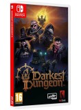Darkest Dungeon II NSW