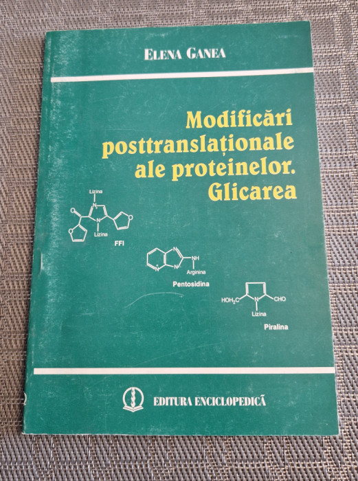 Modificari posttranslationale ale proteinelor Glicarea Elena Ganea