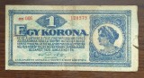 Bancnota Ungaria - 1 Korona 1920