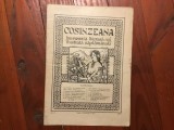 Revista Cosinzeana anul III nr 7 / 16 februarie 1913 - 16 pagini !