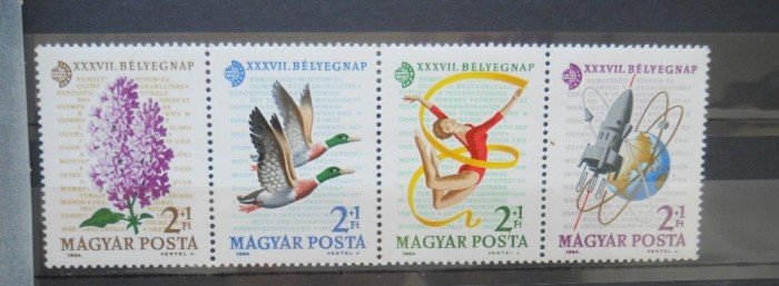 CV2 SERIE UNGARIA