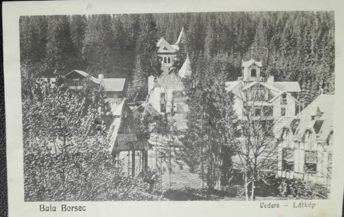 Carte postala, Baile Borsec, vedere generala, 1927