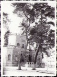 P1164 Castelul Iulia Hașdeu, C&acirc;mpina 1966