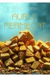 Aurul fermecat - Andra Tigu