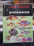 L&#039;album merveilleux des poissons - Iliff Koehler Cynthia
