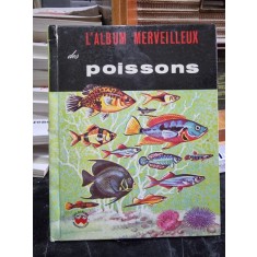 L&#039;album merveilleux des poissons - Iliff Koehler Cynthia