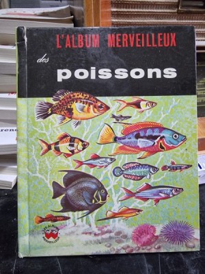 L&amp;#039;album merveilleux des poissons - Iliff Koehler Cynthia foto