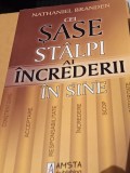 CEI SASE STALPI AI INCREDERII Brian Tracy