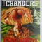 Recviem pentru o roscata &ndash; Peter Chambers