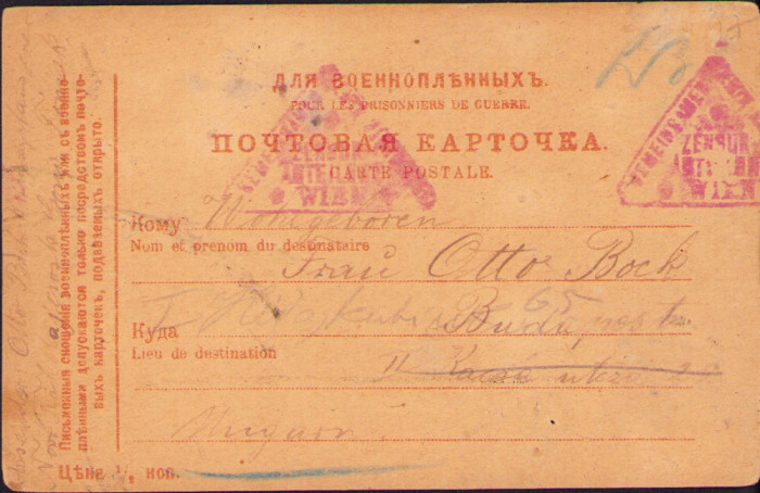 HST A861 Carte poștală prizonier război austro-ungar 1918 Novosibirsk Rusia