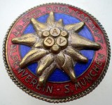 I.756 INSIGNA TURISM MONTAN DEUTSCHER ALPENVEREIN S. M&Uuml;NCHEN DAV FLOARE DE COLT