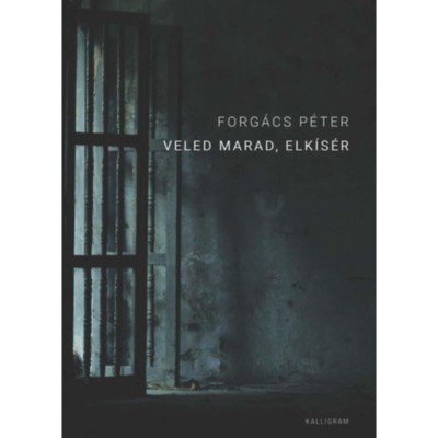 Veled marad, elk&amp;iacute;s&amp;eacute;r - Forg&amp;aacute;cs P&amp;eacute;ter foto