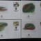 Panama-WWF,FDC crocodili-set complet