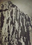SPRE CULMILE CARPATILOR de OVIDIU MANITIU , DUMITRU MAZILU , 1955