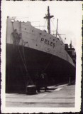 HST M475 Poză nava Peleș 1935 &icirc;n port Constanța