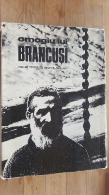 Omagiu lui Brancusi foto