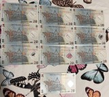 bancnote 20 lei