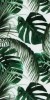 Husa Personalizata ALLVIEW A5 Lite Green Leaves