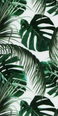 Husa Personalizata ALLVIEW A5 Lite Green Leaves foto