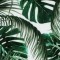 Husa Personalizata ALLVIEW A5 Lite Green Leaves