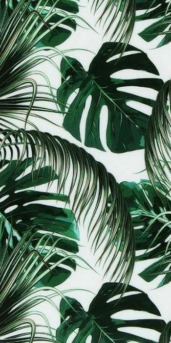 Husa Personalizata ALLVIEW A5 Lite Green Leaves