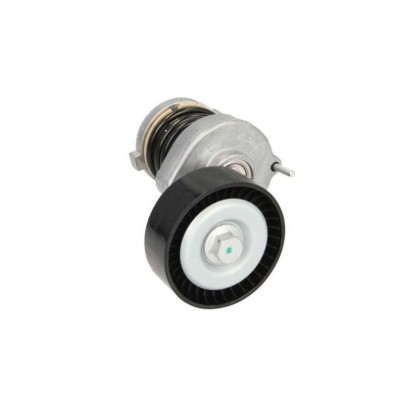 Intinzator curea AUDI A6 4F2 C6 DAYCO APV2511 foto