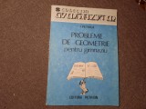 I PETRICA PROBLEME DE GEOMETRIE PENTRU GIMNAZIU R13/0