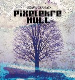 Pixelekre hull | Sz&aacute;va Csan&aacute;d