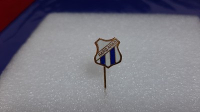insigna Rapid Arad foto