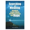 Searching for Meaning: Idealism, Bright Minds, Disillusionment, and Hope