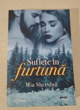 Sufletul &icirc;n furtună -Mia Sheridan