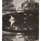 CPI B13706 CARTE POSTALA - TIMISOARA, POD PESTE BEGA, RPR
