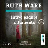 &Icirc;ntr-o pădure &icirc;ntunecată - Audiobook - Ruth Ware