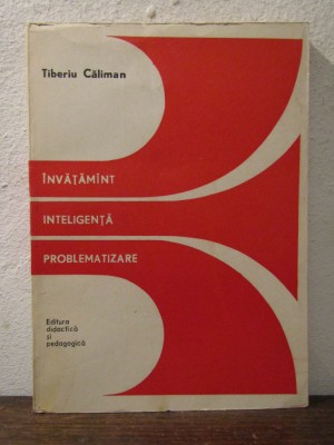 Invatamant, inteligenta, problematizare. Studiu experimental- TIBERIU CALIMAN foto