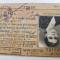 legitimatie certificat CFR , Doamna , sotia unui inalt demnitar din Ministerul de Interne 1947-1948